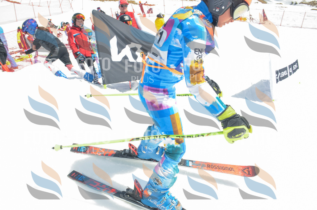 _ELE6441 | holidayphoto