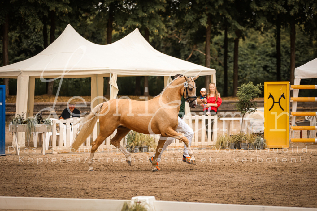 10.-12.Elite00030 | Leoni Ertmer Photography - Realisiert mit Pictrs.com