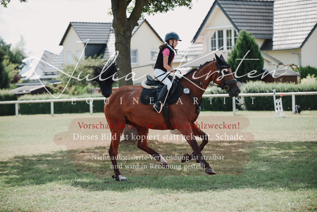 DSC_5634 | Pferde- und Turnierfotografie in Westsachsen. Pferdeportraits, Auftragszeichnungen und intuitive Kunst.