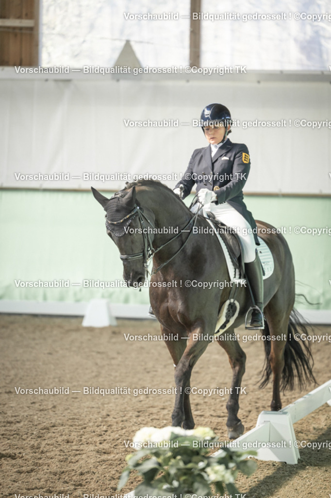 _D5A1554 | Emotionale Pferde- & People-Fotografie rund um Heidelberg, Leimen & Umgebung. Natürliche Fotos von Pferd, Mensch & Familie. Jetzt Termin sichern!