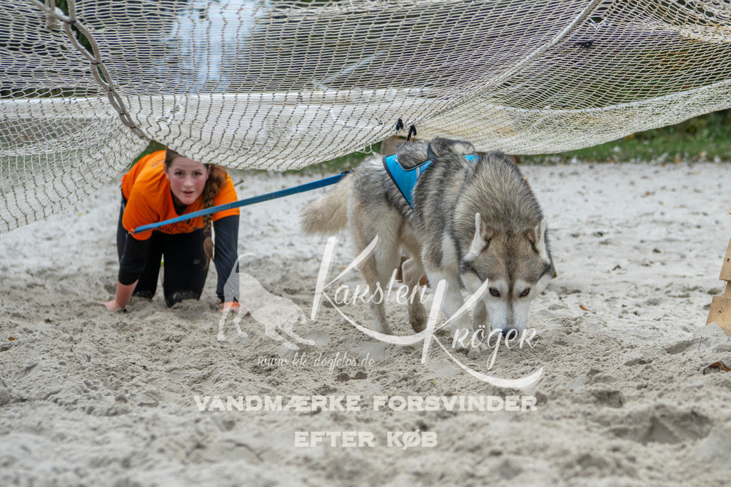 1050_ZZ95006 | kk-dogfotos