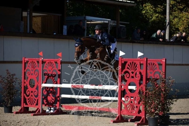 2B4A0258 | pixelfaenger - Realisiert mit Pictrs.com