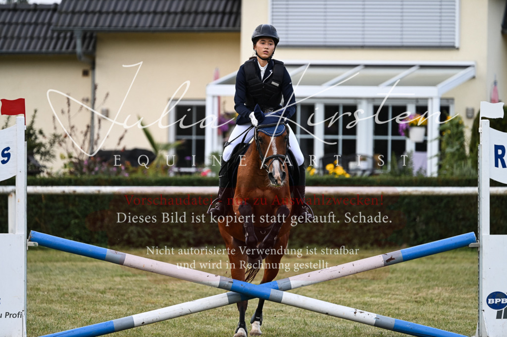 DSC_5506 | Pferde- und Turnierfotografie in Westsachsen. Pferdeportraits, Auftragszeichnungen und intuitive Kunst.
