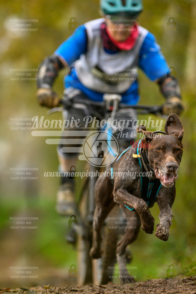 MompixPhotography_20TSB_E6_Bike-104 | mompixphotography