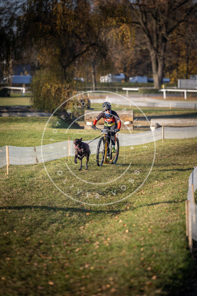 CaniXpix_DV3A1425 | Hundefotografie, Tierfotograf, Pfotenfotografie, Fotoshooting Hund, Hunde Portrait, Hundesport, Hundeportraits, Heideshooting, Hunde, Sportfotograf, Hundefotograf, Turnierhundsport, THS,  - Realisiert mit Pictrs.com