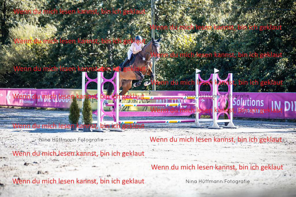 BK1A5767 | Turnierbilder Turnierfotos Nina Hüffmann Turnierfotografie Pferdefotografie Tierzeichnung Haustierzeichnung Pferdezeichnung Hundezeichnung Videograf  - Realisiert mit Pictrs.com