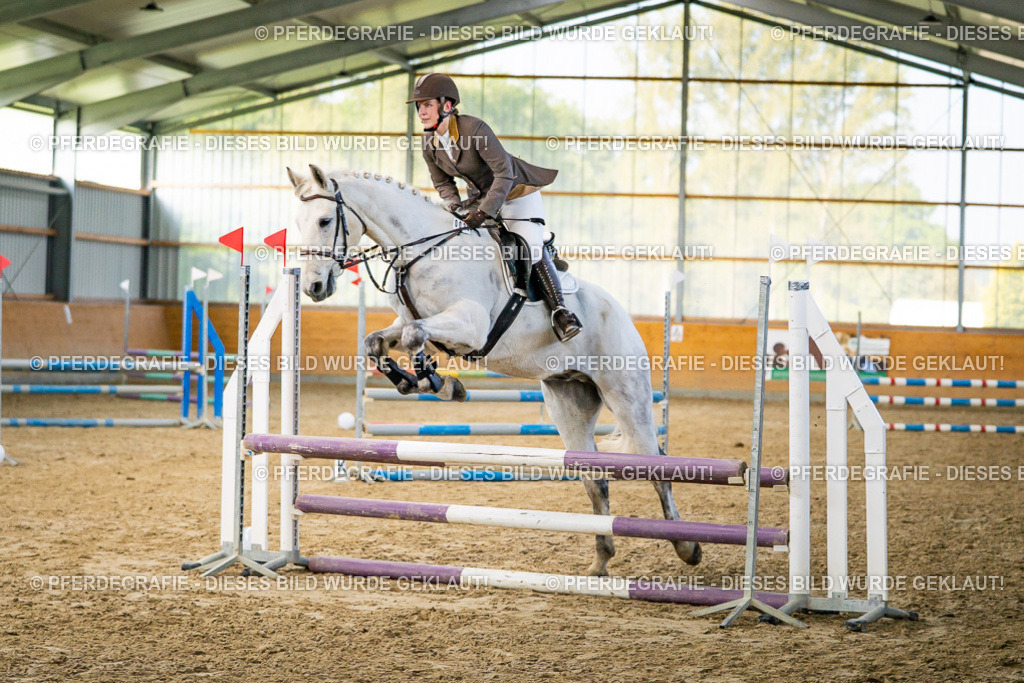 DSC00681 | Pferdegrafie