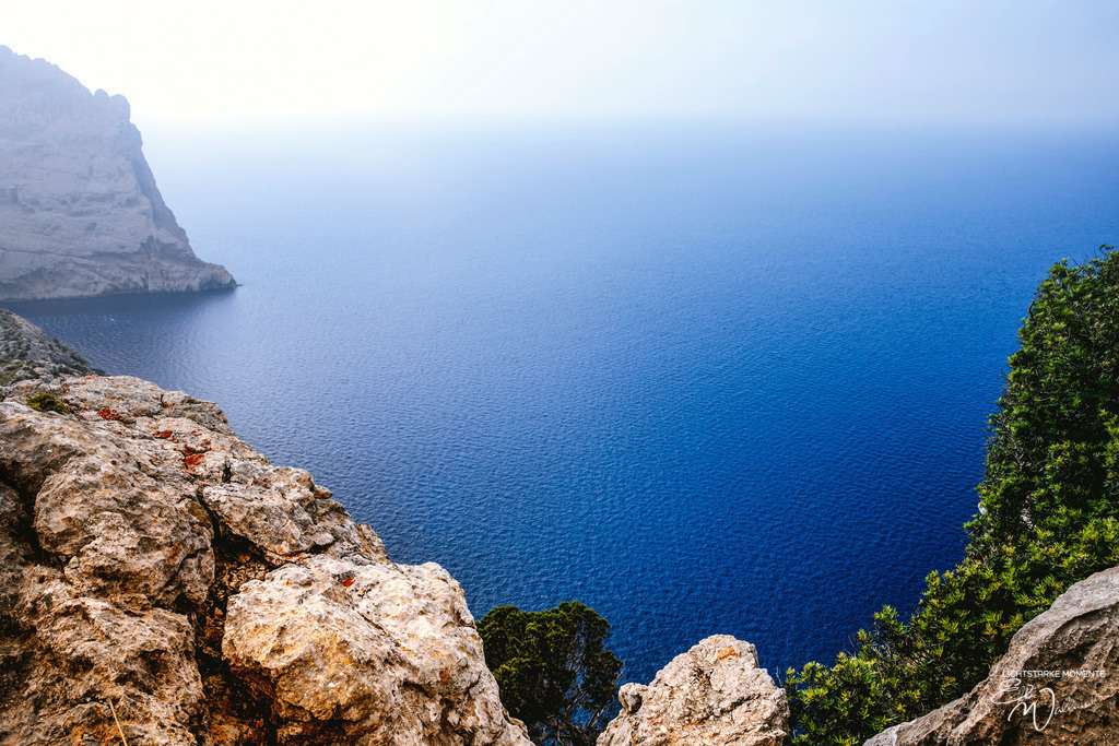 Botanicactus, Ses Salines | Herzlich willkommen auf meiner Seite! Ich bin Elke Wallnisch, Deine Fotografin für lichtstarke Momente. Der Name steht für alles, was mich mit der Fotografie verbindet: Das Licht und seine machtvolle Wirkung auf eine Situation oder unsere Stimmung - Realisiert mit Pictrs.com