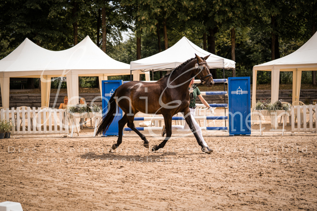 3.Fr00008 | Leoni Ertmer Photography - Realisiert mit Pictrs.com