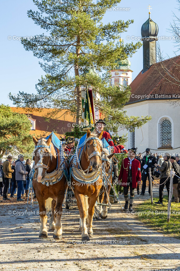 LBT25-1433 | foto-bettina-krinner - Realisiert mit Pictrs.com
