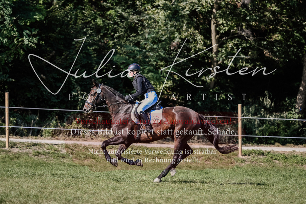 DSC_3427 | Pferde- und Turnierfotografie in Westsachsen. Pferdeportraits, Auftragszeichnungen und intuitive Kunst.