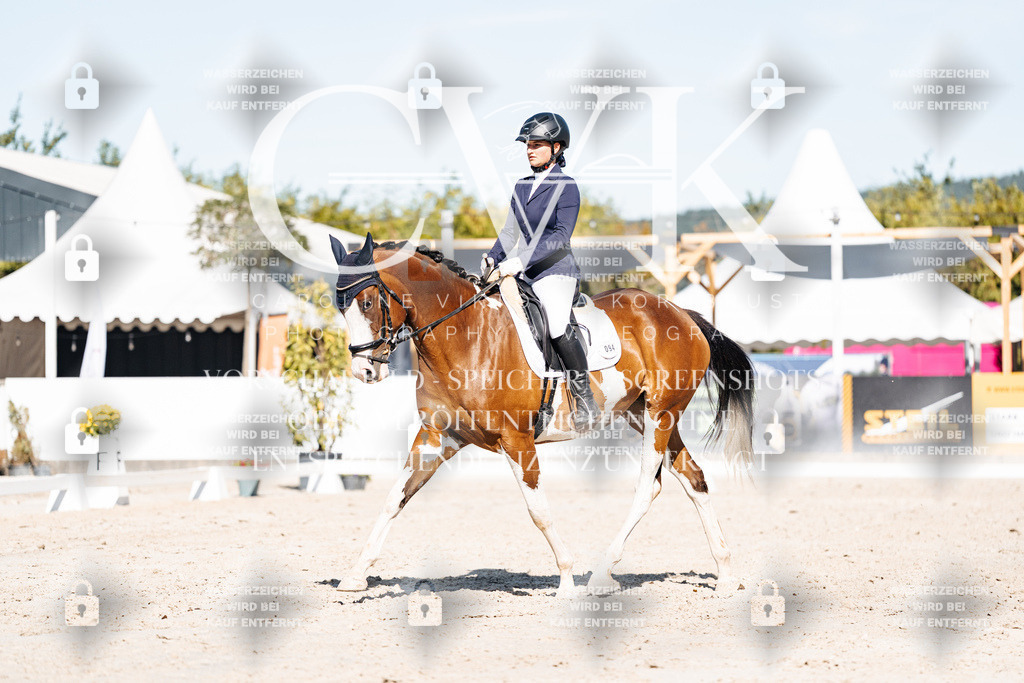 CK908092 | Turnierfotografie Pferdefotografie Trier Rheinland-Pfalz Pferdesport Reitsport Tierfotografie Sportfotografie Pferdevideo Pferdevideografie Equestrianvideography equestrianphotography  - Realisiert mit Pictrs.com