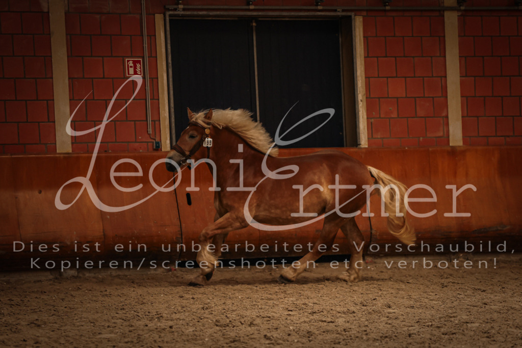 SaFL00419 | Leoni Ertmer Photography - Realisiert mit Pictrs.com