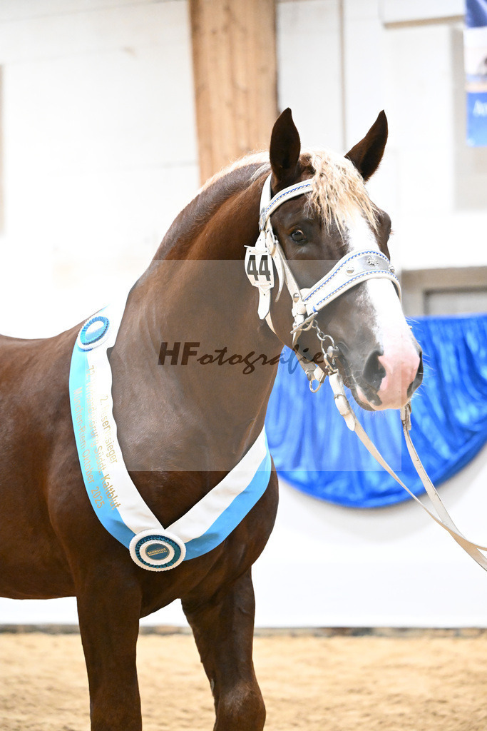 Kat-Nr. 44 nn v. Veroneser_Kotz_39251548 | hf-fotografie - Realizzato con Pictrs.com