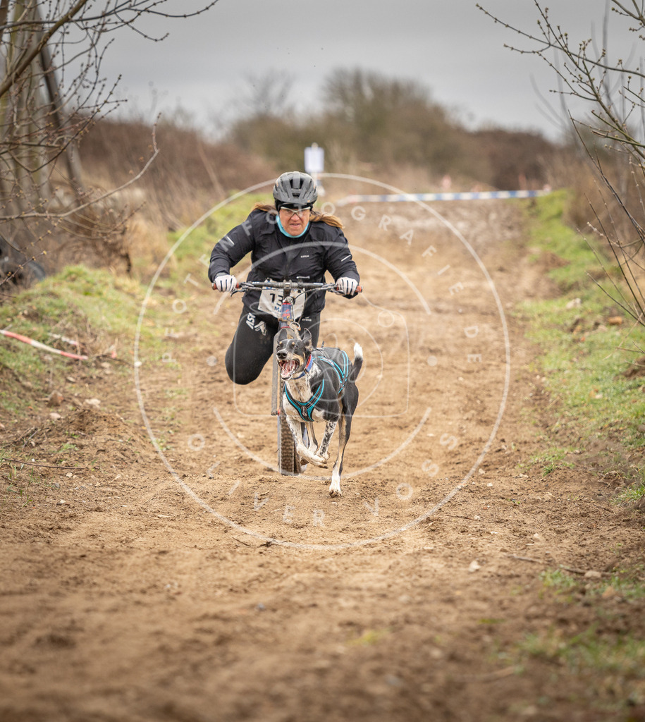 DV3A1388 | Hundefotografie, Tierfotograf, Pfotenfotografie, Fotoshooting Hund, Hunde Portrait, Hundesport, Hundeportraits, Heideshooting, Hunde, Sportfotograf, Hundefotograf, Turnierhundsport, THS,  - Realisiert mit Pictrs.com