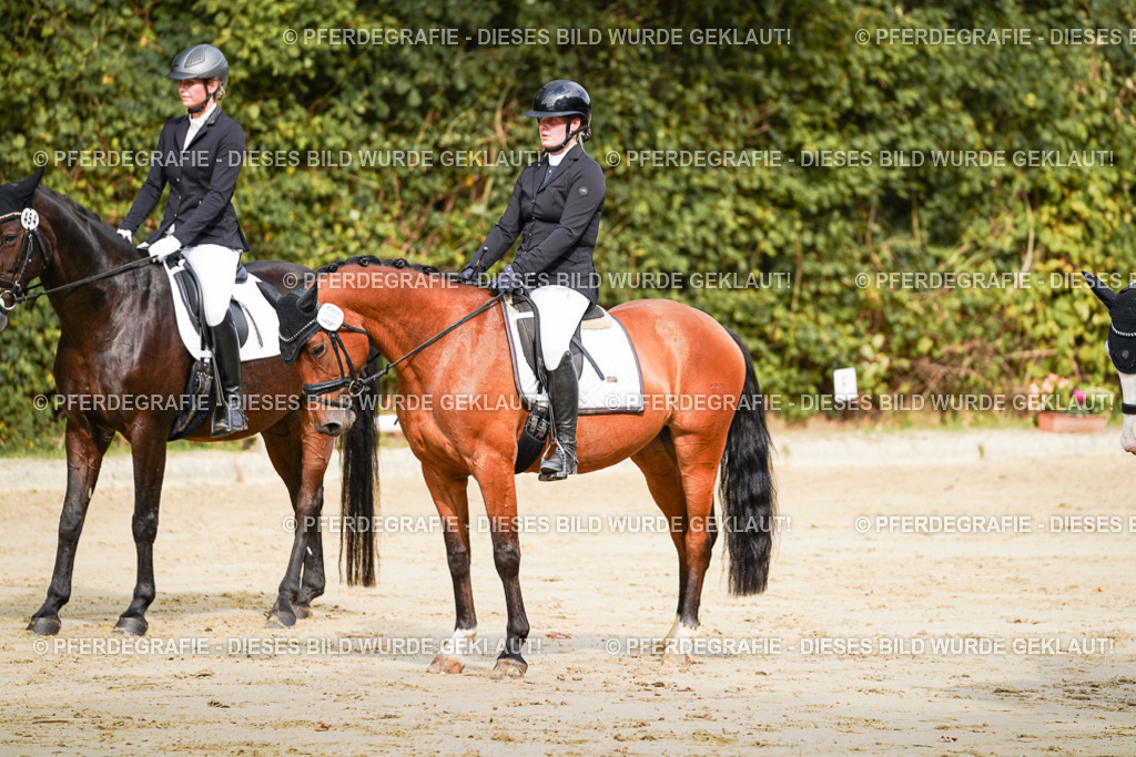 DSC01546 | Pferdegrafie