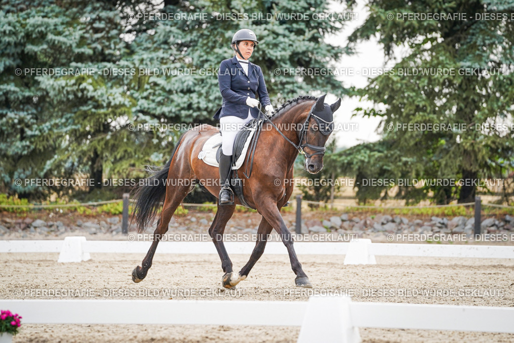 DSC00310 | Pferdegrafie