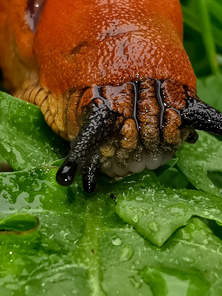 PSX_20230829_224209 | mtkfoto_ - Realisiert mit Pictrs.com