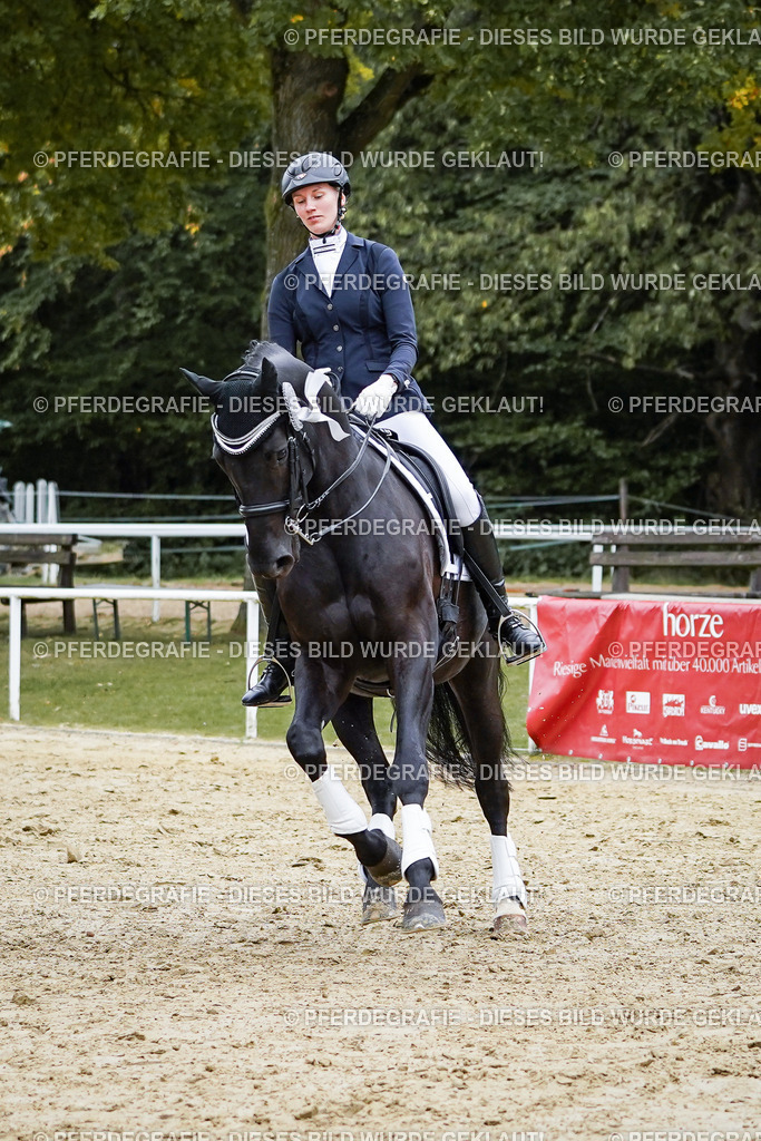 DSC02656 | Pferdegrafie