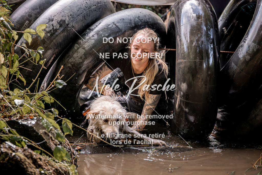nelerasche_Hunsrück2026_Sa1400-1500_255 | nelerasche