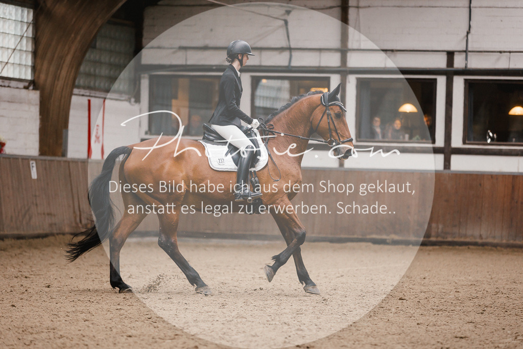 3I6A6768 | Stimmungsvolle Portraits und Reitsportfotografie im Ruhrgebiet und im Münsterland.

Pferdefotografie, Hundefotografie, Tierfotografie, Reportagen, Portraits von Tier und Mensch, Turnierfotografie in Bochum, Recklinghausen, Marl, Haltern am See, Dülmen.. - Realisiert mit Pictrs.com