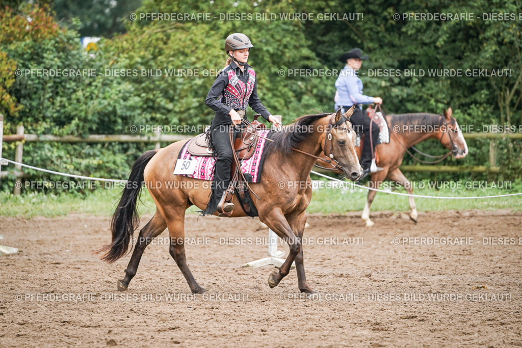 DSC02498 | Pferdegrafie