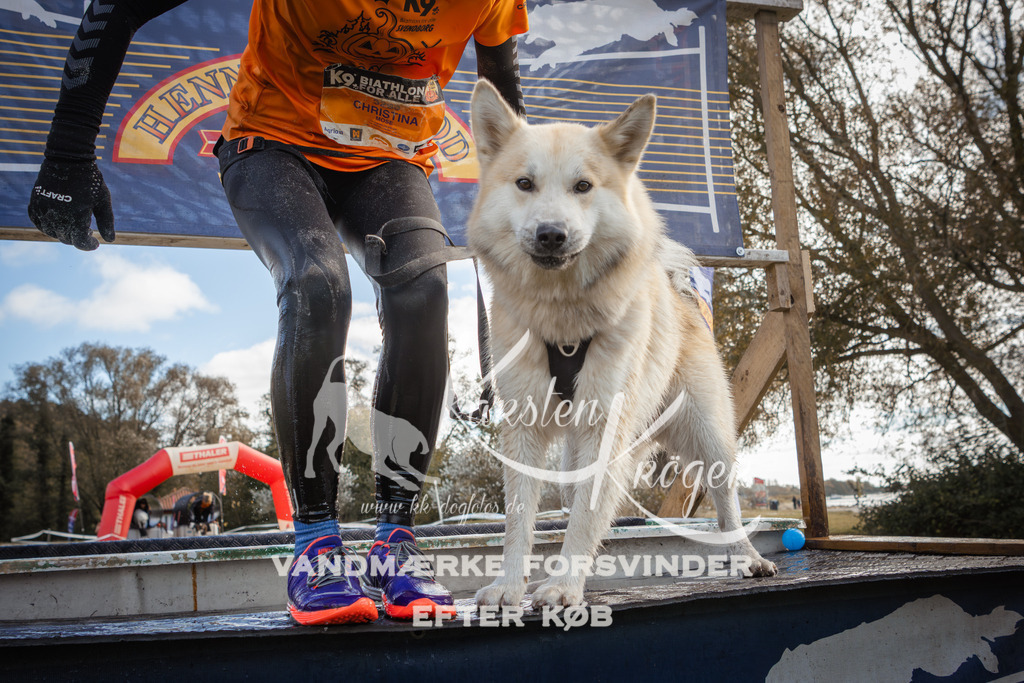 1324_ZZ90634-2 | kk-dogfotos