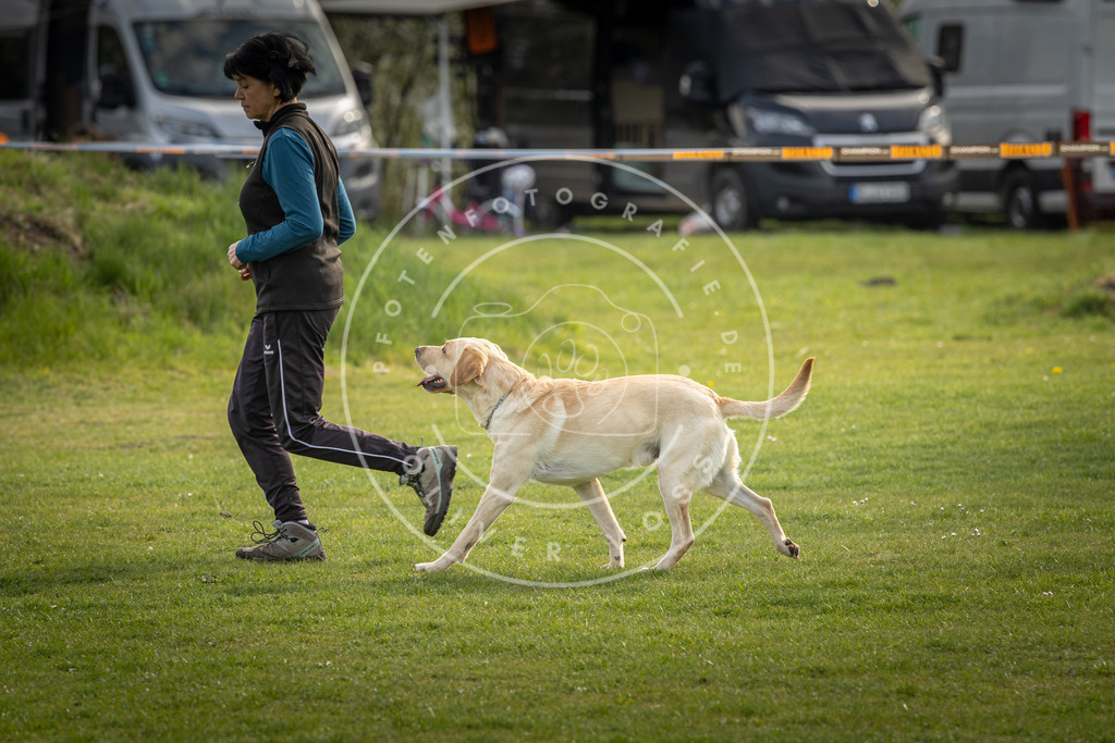 Pfotenfotografie_DV3A4925 | Hundefotografie, Tierfotograf, Pfotenfotografie, Fotoshooting Hund, Hunde Portrait, Hundesport, Hundeportraits, Heideshooting, Hunde, Sportfotograf, Hundefotograf, Turnierhundsport, THS,  - Realisiert mit Pictrs.com