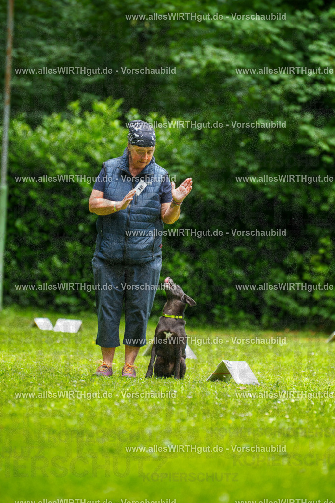 @allesWIRTHgut_Tierfotografie - www.allesWIRTHgut.de - 124312-7R509354 | Professionelle Tierfotografie in Mönchengladbach von Daniel Wirth (allesWIRTHgut). Liebevolle & natürliche Bilder von Hunden & Katzen für unvergessliche Erinnerungen.