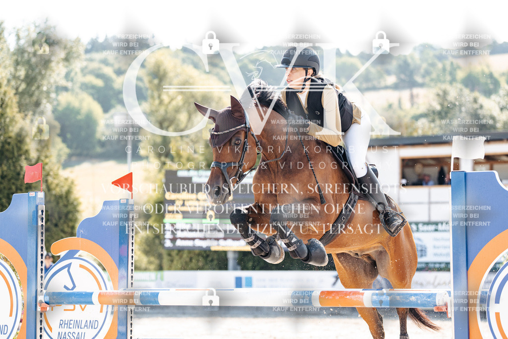 CK902384 | Turnierfotografie Pferdefotografie Trier Rheinland-Pfalz Pferdesport Reitsport Tierfotografie Sportfotografie Pferdevideo Pferdevideografie Equestrianvideography equestrianphotography  - Realisiert mit Pictrs.com
