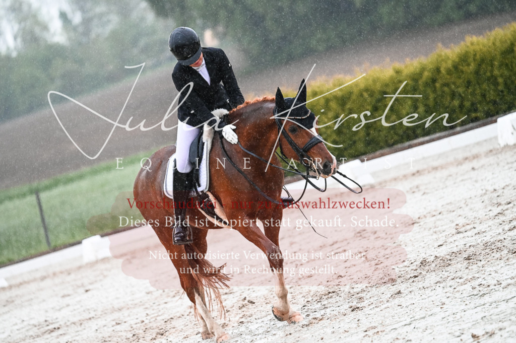 DSC_4643 | Pferde- und Turnierfotografie in Westsachsen. Pferdeportraits, Auftragszeichnungen und intuitive Kunst.