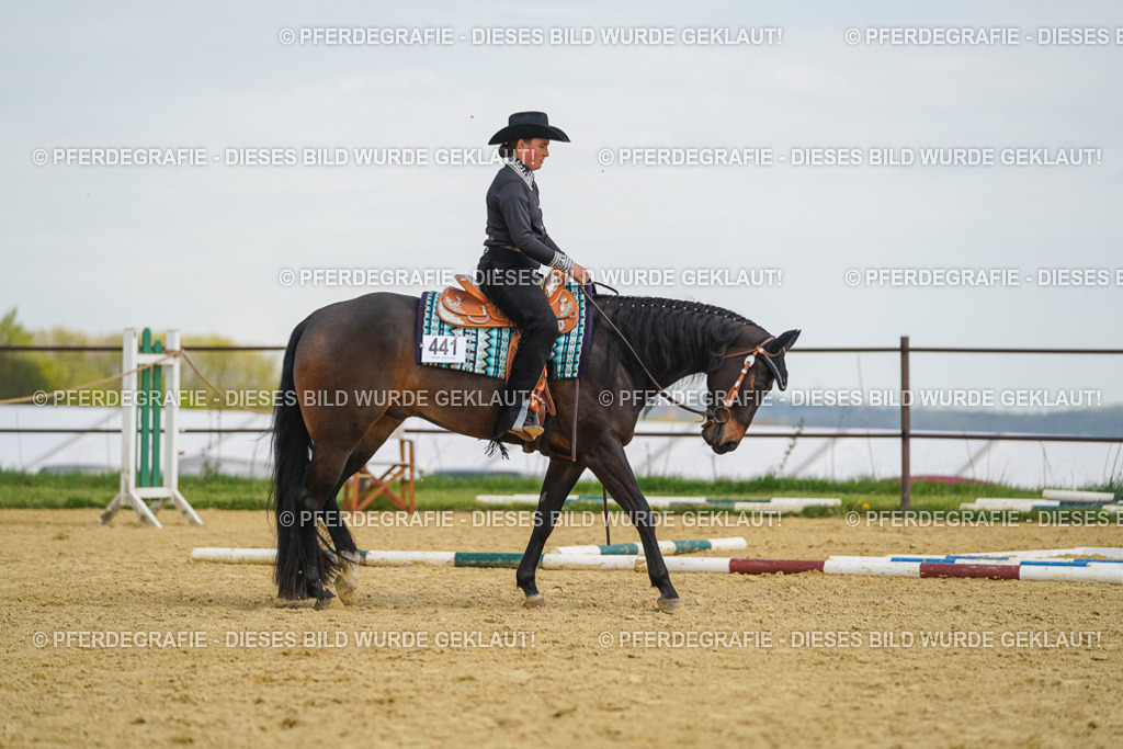 DSC05267 | Pferdegrafie