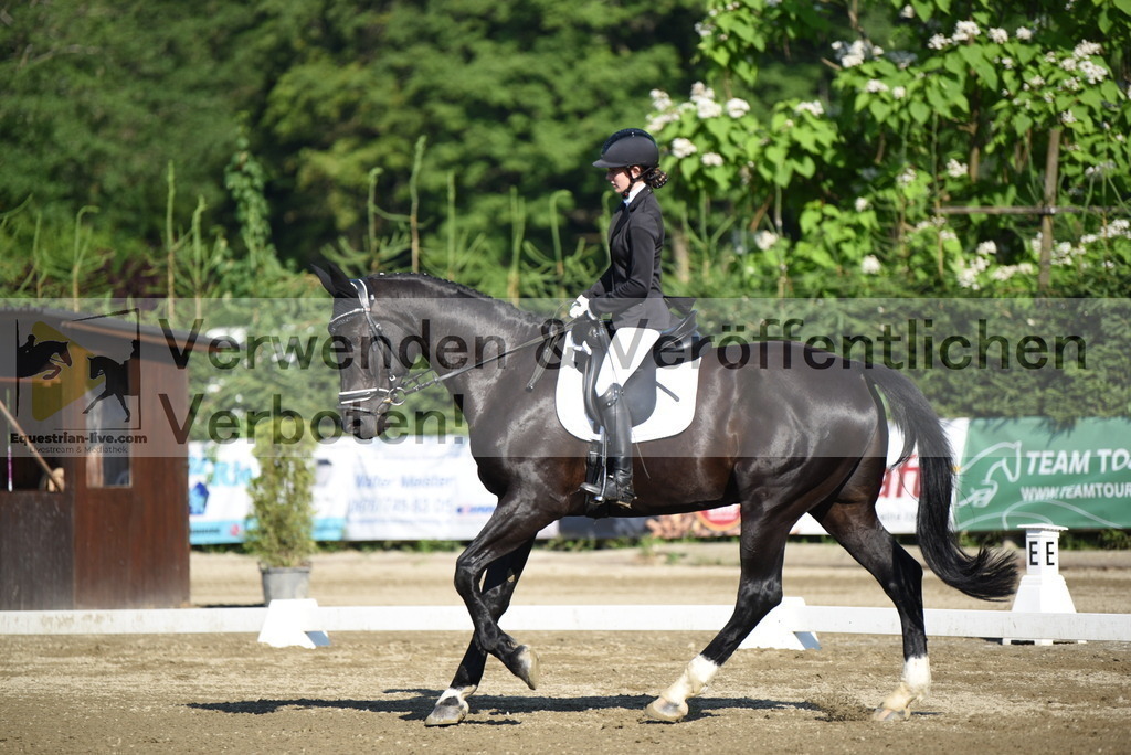 DSC_6931 | equestrian-live-com