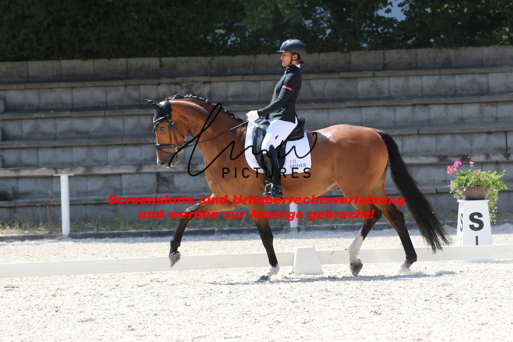 IMG_5006 | lmwpictures - Realisiert mit Pictrs.com