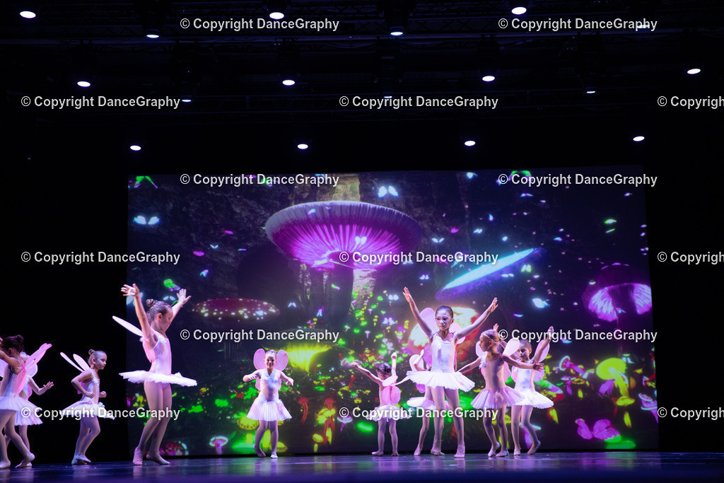 GPHY4748 | DanceGraphy - Realisiert mit Pictrs.com