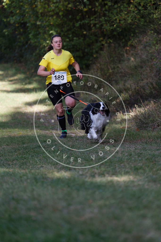 0L8A5692 | Hundefotografie, Tierfotograf, Pfotenfotografie, Fotoshooting Hund, Hunde Portrait, Hundesport, Hundeportraits, Heideshooting, Hunde, Sportfotograf, Hundefotograf, Turnierhundsport, THS,  - Realisiert mit Pictrs.com