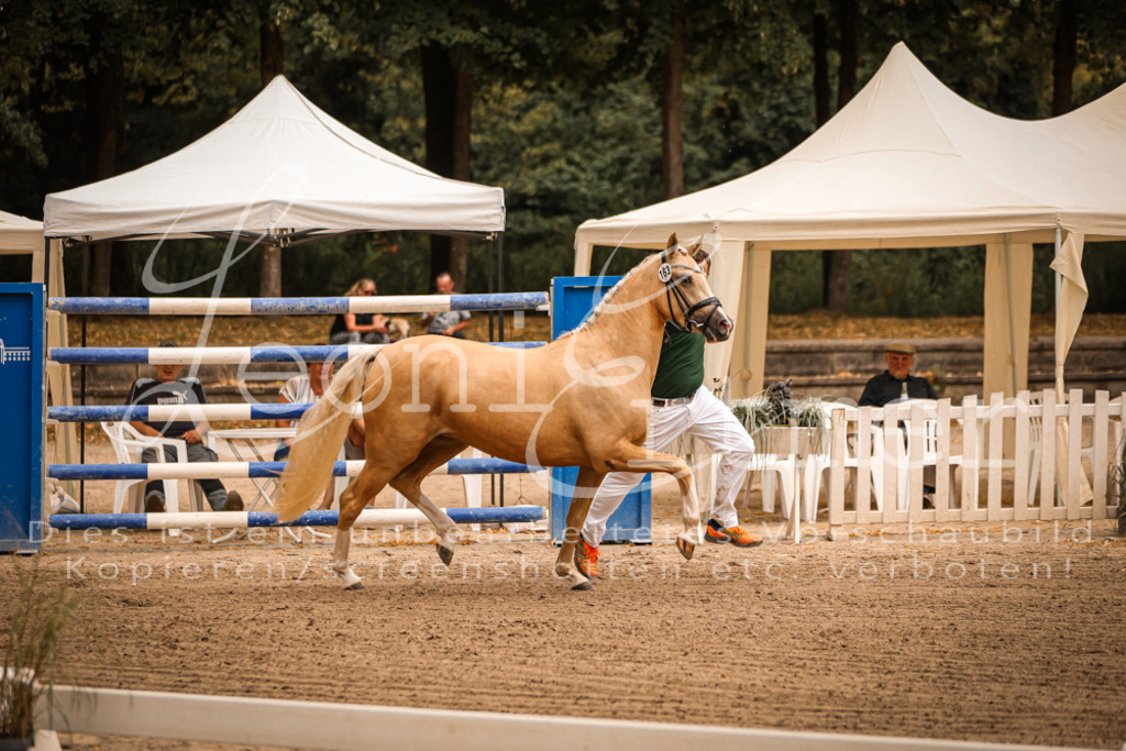 12.So00021 | Leoni Ertmer Photography - Realisiert mit Pictrs.com