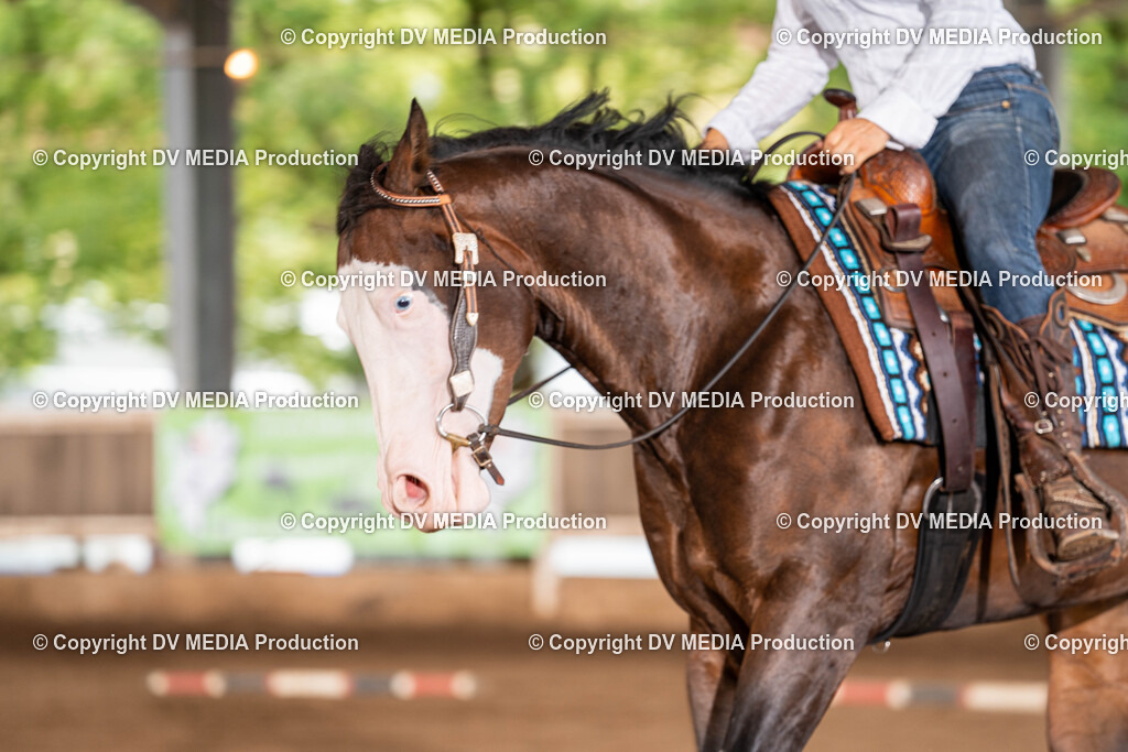 Erbach Tag 1-352 | dv-media-shop - Realisiert mit Pictrs.com