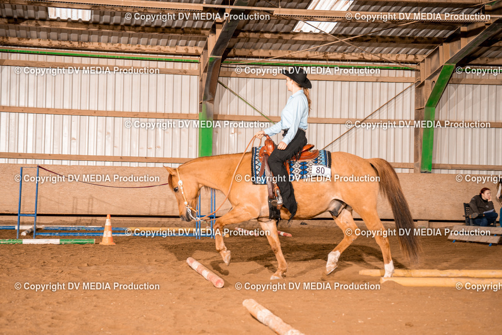 BA400133 | dv-media-shop - Realisiert mit Pictrs.com