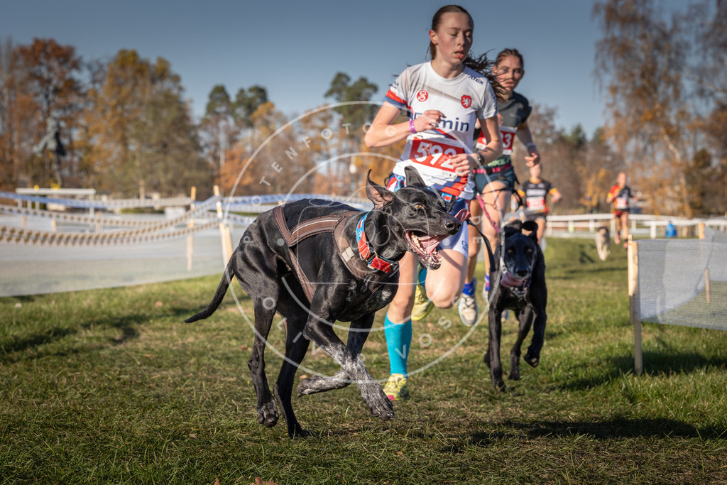 CaniXpix_0L8A8367 | Hundefotografie, Tierfotograf, Pfotenfotografie, Fotoshooting Hund, Hunde Portrait, Hundesport, Hundeportraits, Heideshooting, Hunde, Sportfotograf, Hundefotograf, Turnierhundsport, THS,  - Realisiert mit Pictrs.com