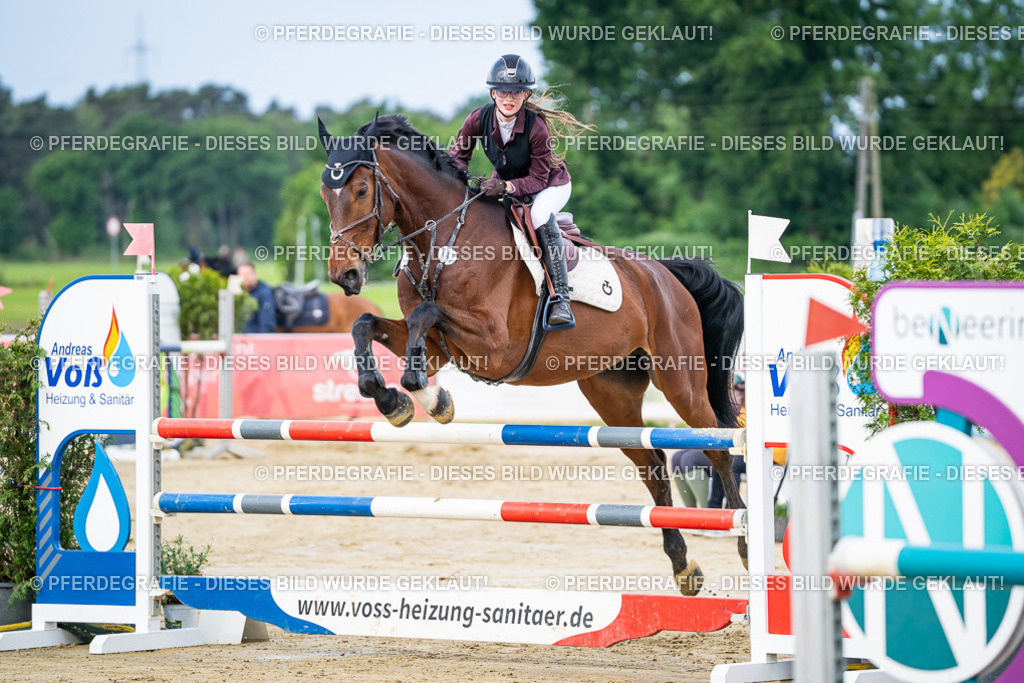 DSC03499 | Pferdegrafie