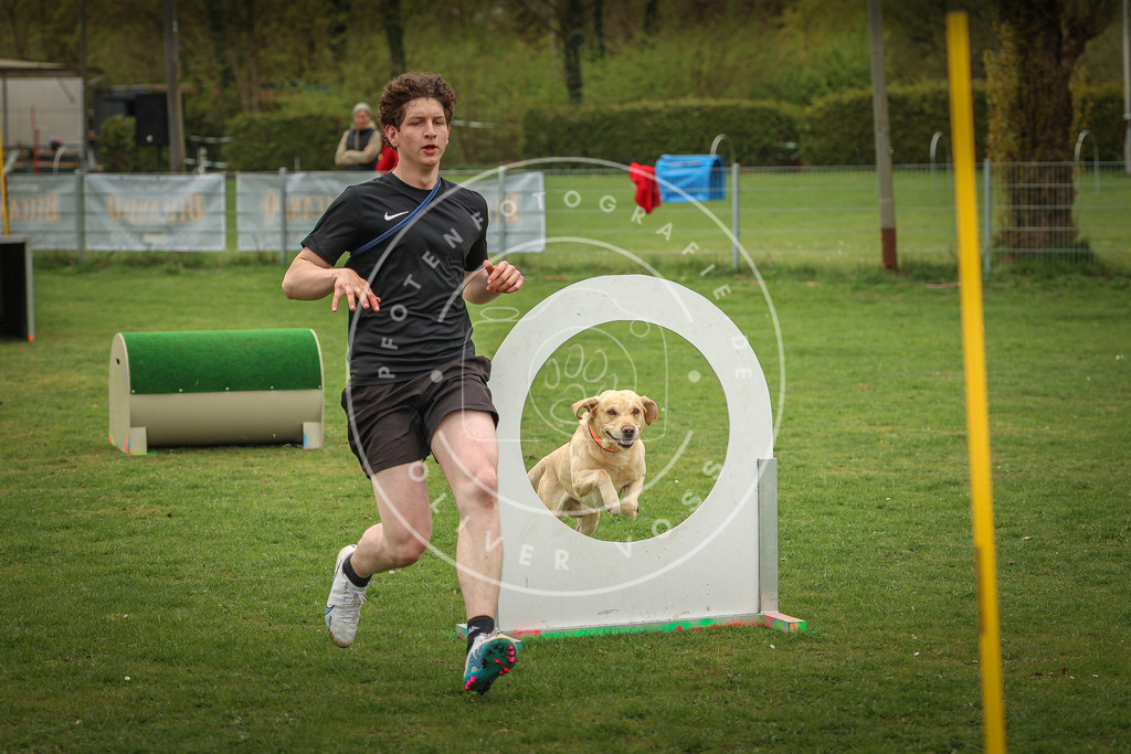 Pfotenfotografie_0L8A1645 | Hundefotografie, Tierfotograf, Pfotenfotografie, Fotoshooting Hund, Hunde Portrait, Hundesport, Hundeportraits, Heideshooting, Hunde, Sportfotograf, Hundefotograf, Turnierhundsport, THS,  - Realisiert mit Pictrs.com