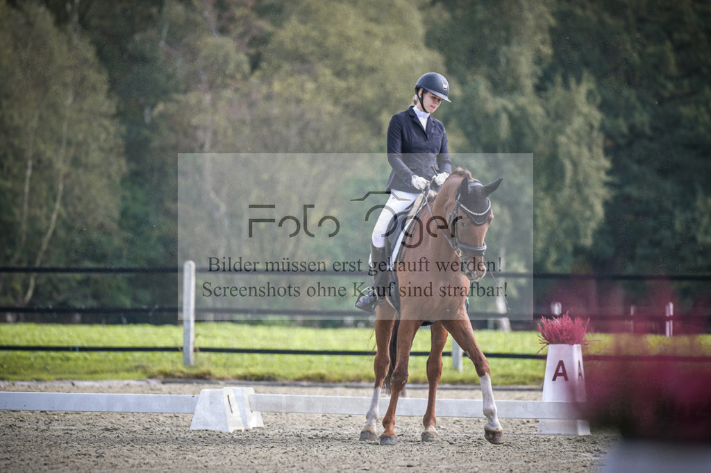 DOS_B662 | Entdecke hochwertige Reitturnierfotos von Foto Oger. Professionell, emotional und authentisch – jetzt Lieblingsmomente im Shop bestellen.Deutschlandweite Turnierfotografie. - Realisiert mit Pictrs.com