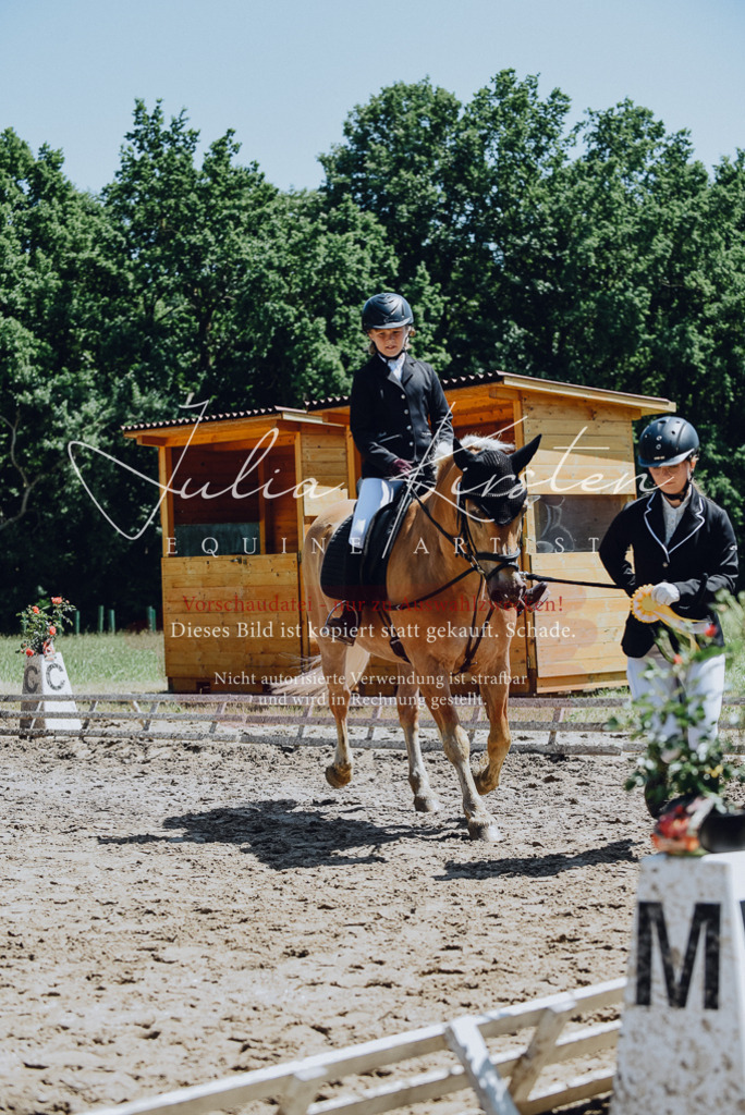 DSC_2352 | Pferde- und Turnierfotografie in Westsachsen. Pferdeportraits, Auftragszeichnungen und intuitive Kunst.
