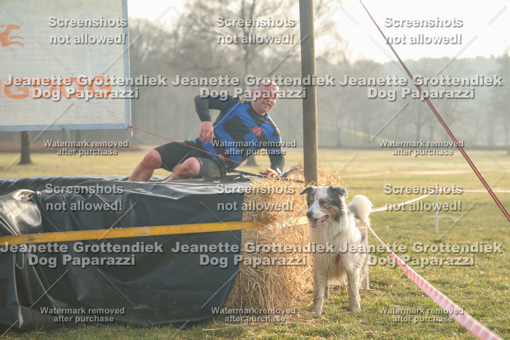 Dog Paparazzi - SD North Sa 830-900-43 | Dog Paparazzi Jeanette Grottendiek Fotografie & Videografie - Realisiert mit Pictrs.com