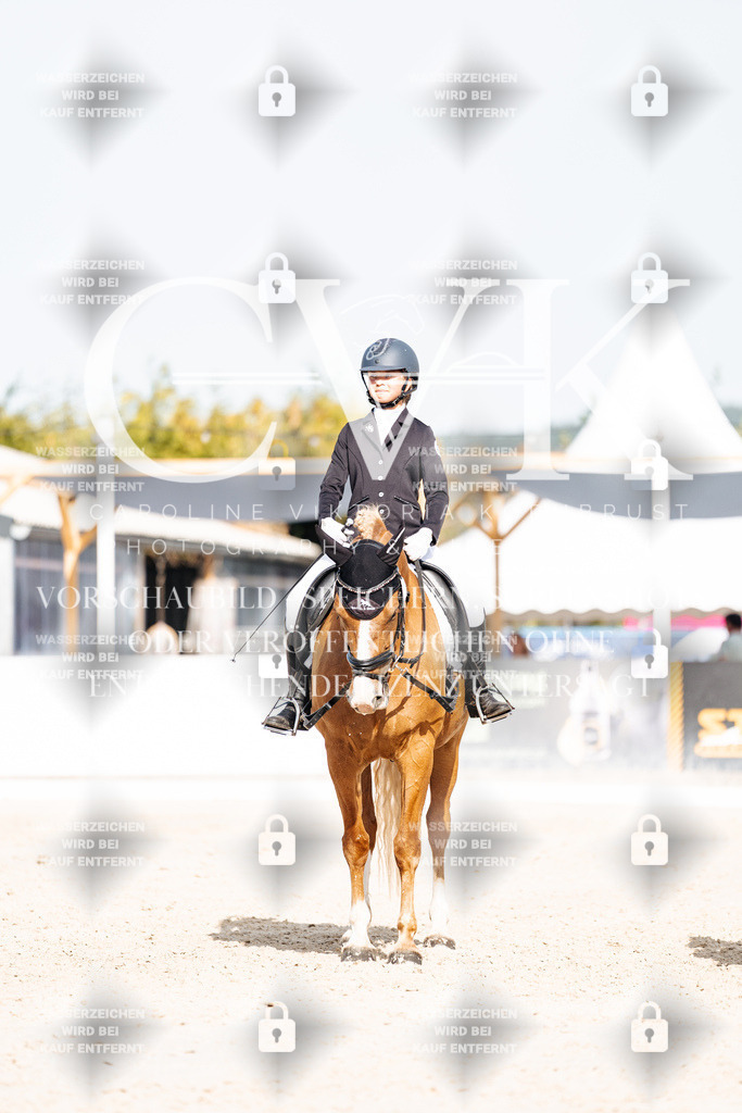 CK905439 | Turnierfotografie Pferdefotografie Trier Rheinland-Pfalz Pferdesport Reitsport Tierfotografie Sportfotografie Pferdevideo Pferdevideografie Equestrianvideography equestrianphotography  - Realisiert mit Pictrs.com