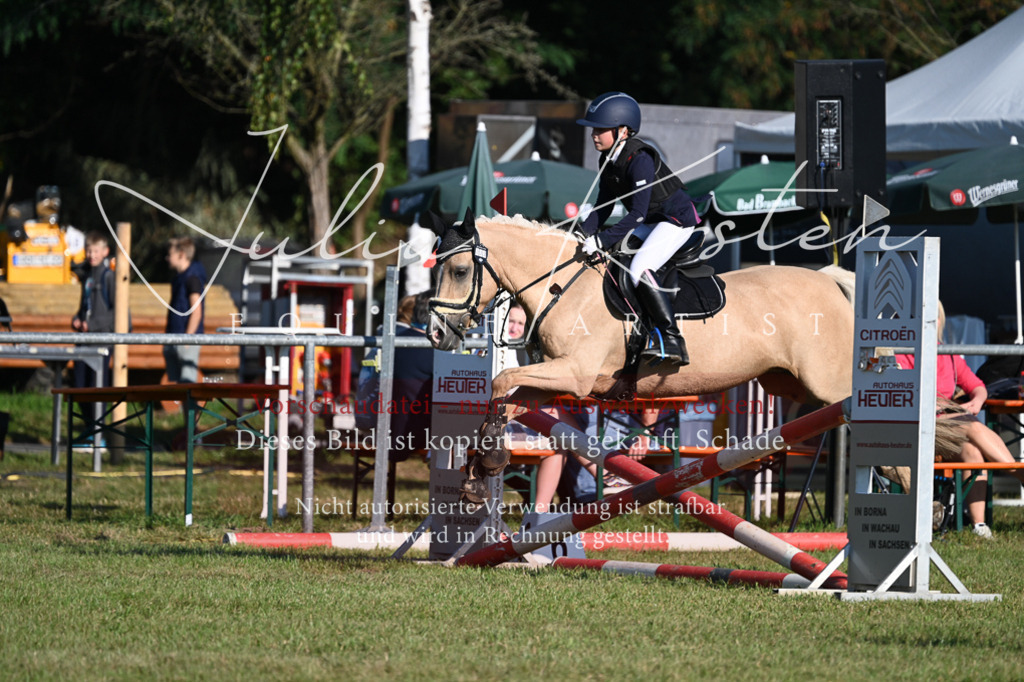 DSC_4730 | Pferde- und Turnierfotografie in Westsachsen. Pferdeportraits, Auftragszeichnungen und intuitive Kunst.