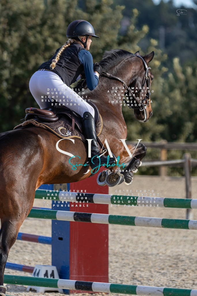 IMG_0316 | s-jay-photography - Realisiert mit Pictrs.com