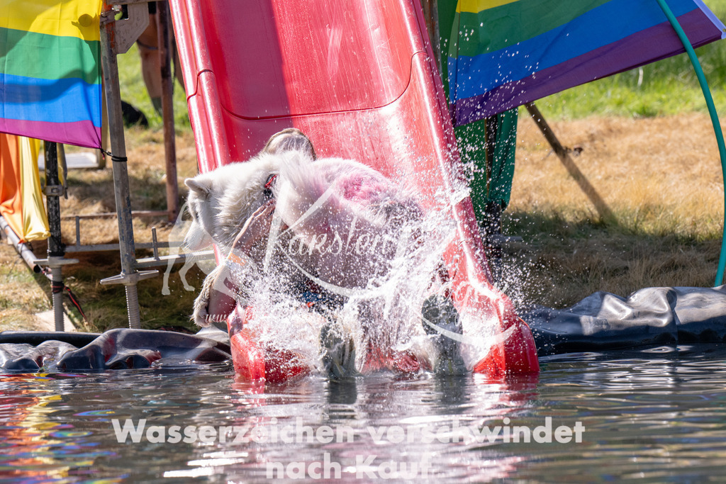 1213_ZZ91121 | kk-dogfotos
