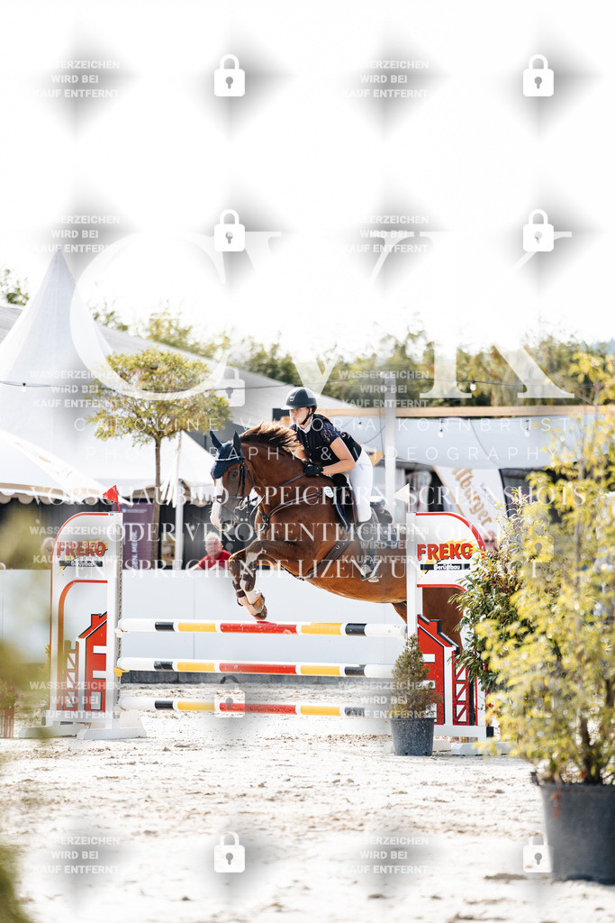CK905704 | Turnierfotografie Pferdefotografie Trier Rheinland-Pfalz Pferdesport Reitsport Tierfotografie Sportfotografie Pferdevideo Pferdevideografie Equestrianvideography equestrianphotography  - Realisiert mit Pictrs.com